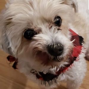 Meet your Posher, Lara